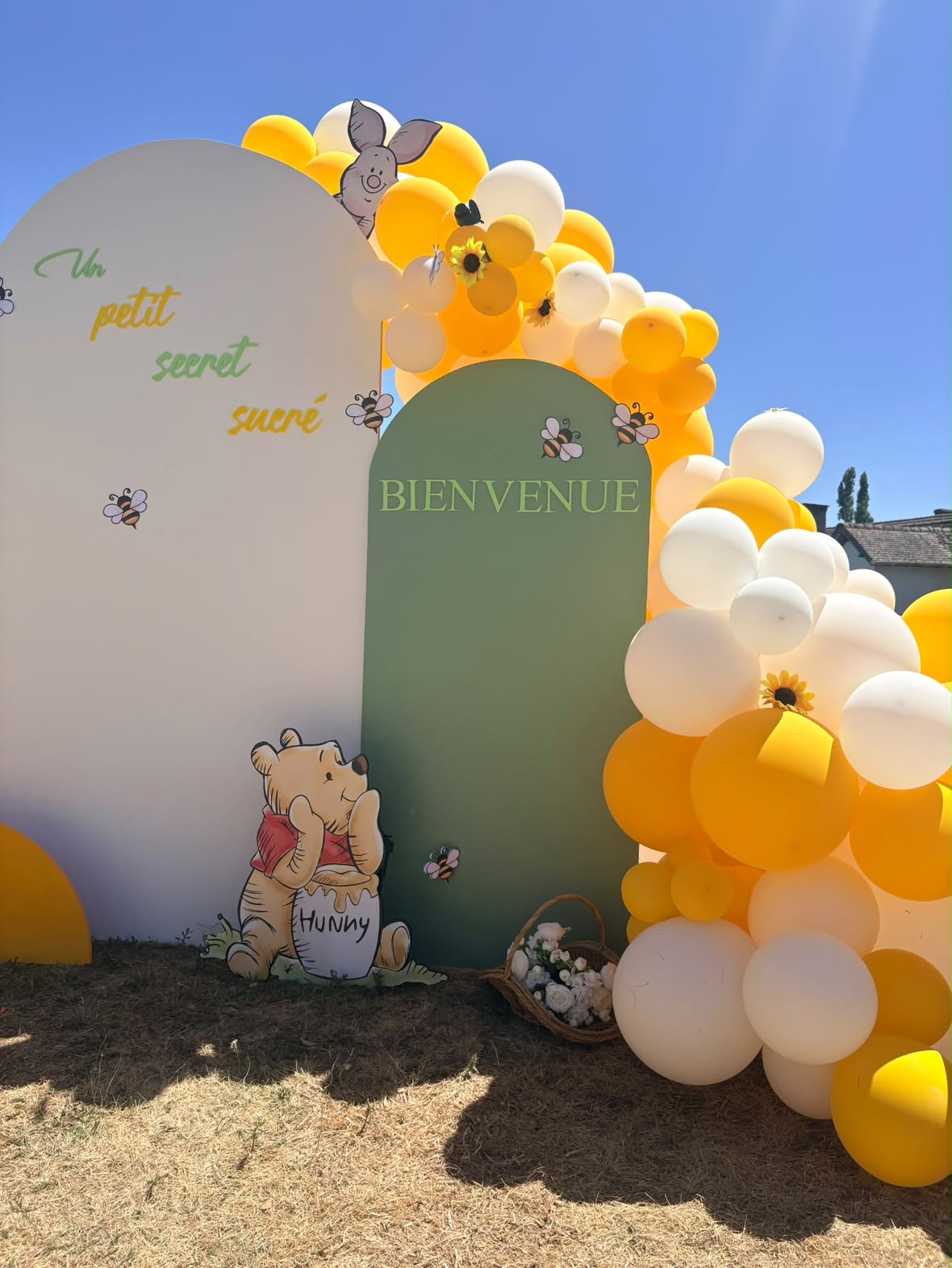 Décor de naissance thème Winnie l'ourson